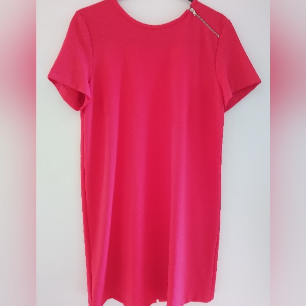 Beautiful Zara Red dress